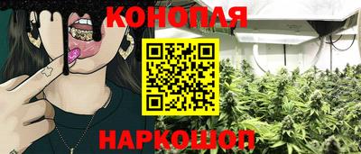 дмт Нальчик